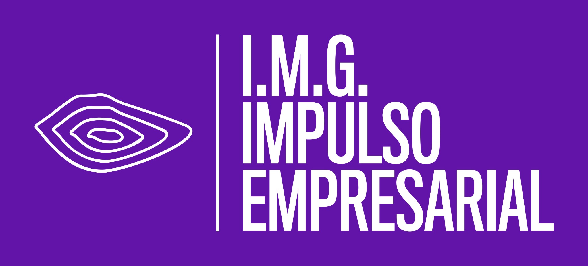 I.M.G. Impulso Empresarial